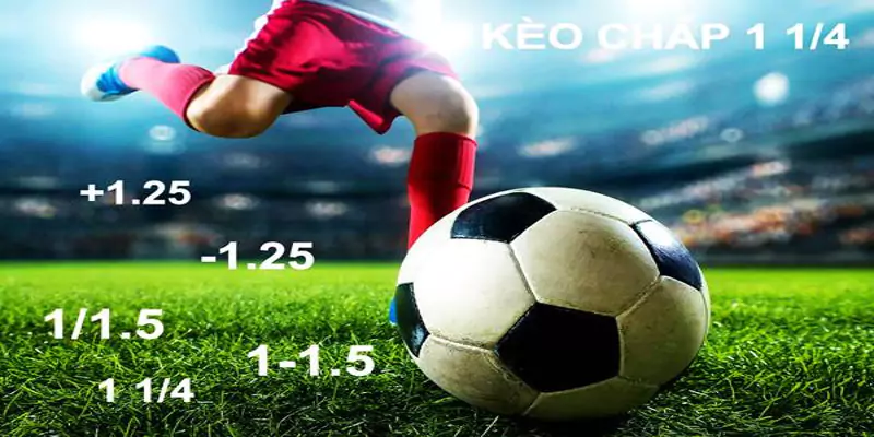 Kèo chấp 1.25 là gì? Kinh nghiệm chọn kèo chấp 1.25 2 Giới thiệu kèo chấp 1.25